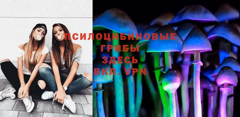 Галлюциногенные грибы MAGIC MUSHROOMS  закладка  Руза 